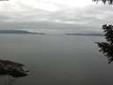 ./images/koeye/fitz-hugh/20200824/fitz-hugh20200824_085001.jpg