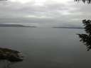 ./images/koeye/fitz-hugh/20200824/fitz-hugh20200824_085501.jpg