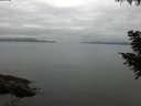 ./images/koeye/fitz-hugh/20200824/fitz-hugh20200824_090501.jpg