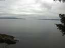 ./images/koeye/fitz-hugh/20200824/fitz-hugh20200824_091501.jpg