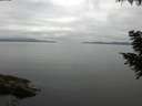 ./images/koeye/fitz-hugh/20200824/fitz-hugh20200824_092001.jpg