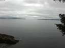 ./images/koeye/fitz-hugh/20200824/fitz-hugh20200824_093501.jpg