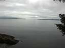 ./images/koeye/fitz-hugh/20200824/fitz-hugh20200824_094001.jpg
