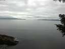 ./images/koeye/fitz-hugh/20200824/fitz-hugh20200824_094501.jpg