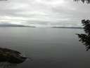 ./images/koeye/fitz-hugh/20200824/fitz-hugh20200824_095002.jpg