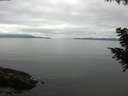 ./images/koeye/fitz-hugh/20200824/fitz-hugh20200824_095502.jpg