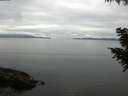 ./images/koeye/fitz-hugh/20200824/fitz-hugh20200824_100002.jpg