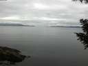 ./images/koeye/fitz-hugh/20200824/fitz-hugh20200824_100502.jpg