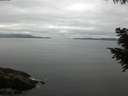 ./images/koeye/fitz-hugh/20200824/fitz-hugh20200824_101002.jpg