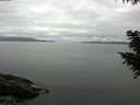 ./images/koeye/fitz-hugh/20200824/fitz-hugh20200824_101502.jpg