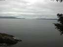 ./images/koeye/fitz-hugh/20200824/fitz-hugh20200824_102002.jpg