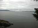 ./images/koeye/fitz-hugh/20200824/fitz-hugh20200824_102502.jpg