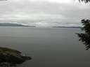 ./images/koeye/fitz-hugh/20200824/fitz-hugh20200824_103502.jpg
