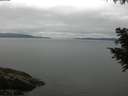./images/koeye/fitz-hugh/20200824/fitz-hugh20200824_104002.jpg