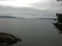 ./images/koeye/fitz-hugh/20200824/fitz-hugh20200824_104502.jpg