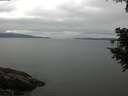 ./images/koeye/fitz-hugh/20200824/fitz-hugh20200824_105002.jpg