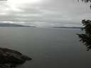./images/koeye/fitz-hugh/20200824/fitz-hugh20200824_105501.jpg