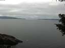 ./images/koeye/fitz-hugh/20200824/fitz-hugh20200824_110501.jpg