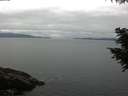 ./images/koeye/fitz-hugh/20200824/fitz-hugh20200824_111001.jpg