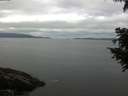./images/koeye/fitz-hugh/20200824/fitz-hugh20200824_113501.jpg