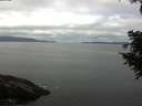 ./images/koeye/fitz-hugh/20200824/fitz-hugh20200824_114001.jpg
