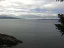 ./images/koeye/fitz-hugh/20200824/fitz-hugh20200824_115501.jpg