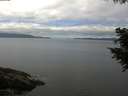 ./images/koeye/fitz-hugh/20200824/fitz-hugh20200824_120501.jpg