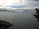 ./images/koeye/fitz-hugh/20200824/fitz-hugh20200824_121001.jpg