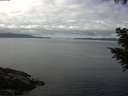./images/koeye/fitz-hugh/20200824/fitz-hugh20200824_121501.jpg