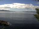 ./images/koeye/fitz-hugh/20200824/fitz-hugh20200824_135502.jpg