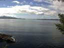 ./images/koeye/fitz-hugh/20200824/fitz-hugh20200824_140501.jpg