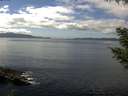 ./images/koeye/fitz-hugh/20200824/fitz-hugh20200824_141001.jpg