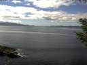 ./images/koeye/fitz-hugh/20200824/fitz-hugh20200824_141501.jpg