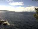 ./images/koeye/fitz-hugh/20200824/fitz-hugh20200824_144501.jpg