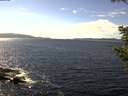 ./images/koeye/fitz-hugh/20200824/fitz-hugh20200824_145001.jpg