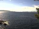 ./images/koeye/fitz-hugh/20200824/fitz-hugh20200824_145501.jpg
