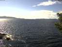 ./images/koeye/fitz-hugh/20200824/fitz-hugh20200824_150501.jpg