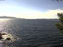 ./images/koeye/fitz-hugh/20200824/fitz-hugh20200824_151001.jpg