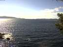 ./images/koeye/fitz-hugh/20200824/fitz-hugh20200824_151501.jpg