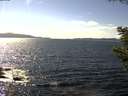 ./images/koeye/fitz-hugh/20200824/fitz-hugh20200824_152001.jpg