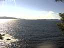 ./images/koeye/fitz-hugh/20200824/fitz-hugh20200824_152501.jpg