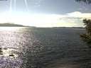 ./images/koeye/fitz-hugh/20200824/fitz-hugh20200824_154501.jpg