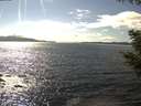 ./images/koeye/fitz-hugh/20200824/fitz-hugh20200824_155001.jpg