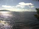 ./images/koeye/fitz-hugh/20200824/fitz-hugh20200824_155502.jpg