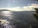 ./images/koeye/fitz-hugh/20200824/fitz-hugh20200824_161002.jpg