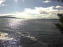 ./images/koeye/fitz-hugh/20200824/fitz-hugh20200824_161502.jpg