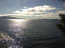 ./images/koeye/fitz-hugh/20200824/fitz-hugh20200824_162002.jpg