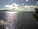 ./images/koeye/fitz-hugh/20200824/fitz-hugh20200824_162502.jpg