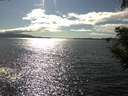 ./images/koeye/fitz-hugh/20200824/fitz-hugh20200824_163502.jpg