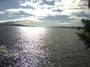 ./images/koeye/fitz-hugh/20200824/fitz-hugh20200824_164002.jpg